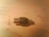DSC00293.jpg