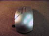 Mouse.jpg