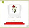 ROSE_letter_.jpg