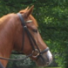 Stella123