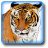 TigerClaw