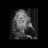 gernot_knecht